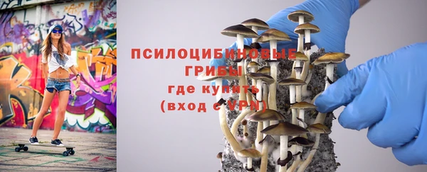 каннабис Новозыбков