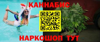 сатива Кимры