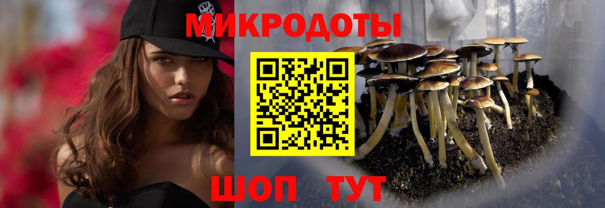 Галлюциногенные грибы прущие грибы  Вход с VPN  Новоуральск  Псилоцибиновые грибы MAGIC MUSHROOMS 